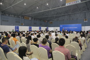 2016成都建博會 現場亮點紛呈，6月將上演重頭戲